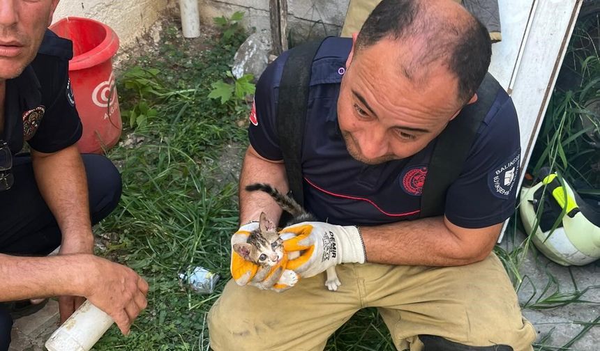 İki bina arasına sıkışan yavru kedi kurtarıldı