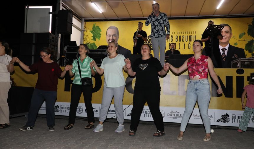 Aşağıçobanisa'da konser coşkusu