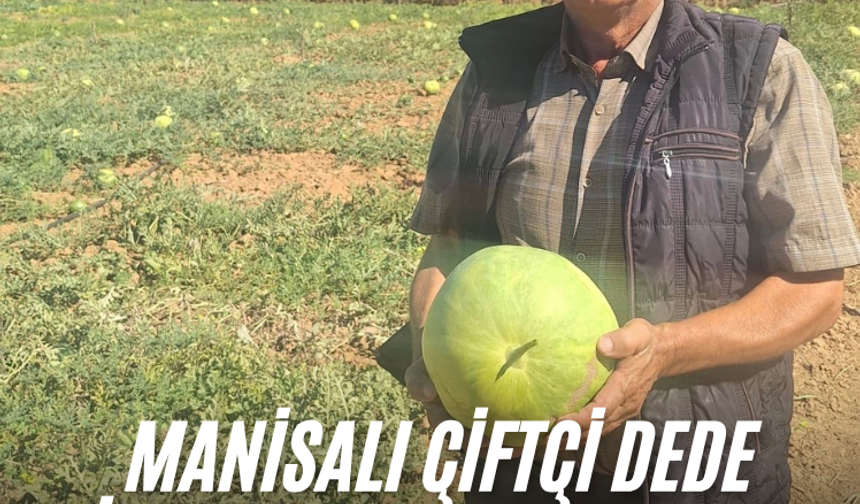 Manisalı çiftçi dede mirası ata tohumu karpuz geleneğini sürdürüyor