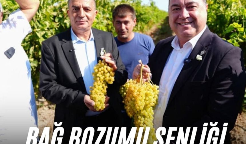 Bağ Bozumu Şenliği başladı!