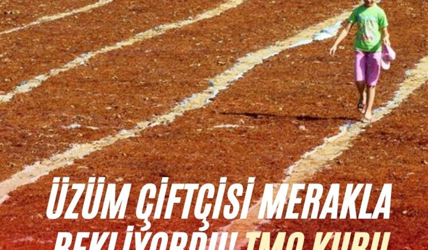 Üzüm çiftçisi merakla bekliyordu! TMO kuru üzüm fiyatlarını açıkladı