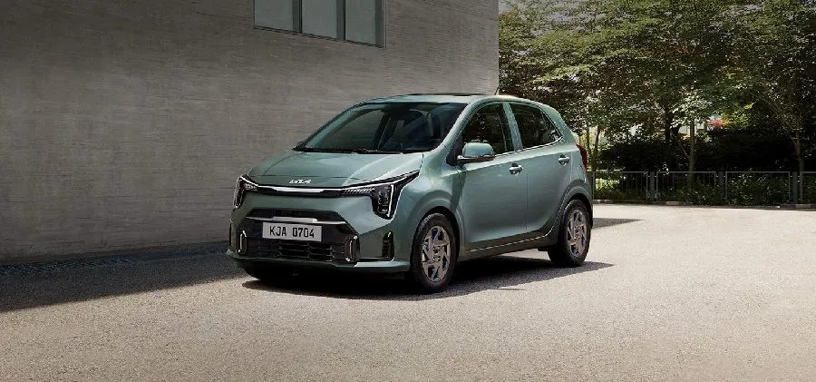 7 Picanto Ppzm.jpg