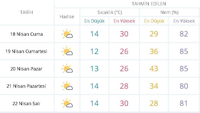 Hava-6