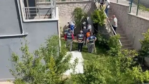 0X0 Sahiplendigi Yavru Kopekleri Cinsel Istismarda Bulunup Katletmis Mide Bulandiran Doktorun Telefonunda 43 Bin V 1749129404141