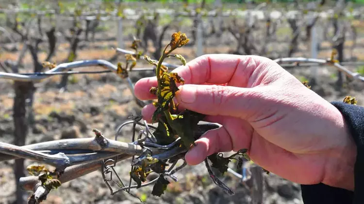 67F90Cb5D80654846C07873C