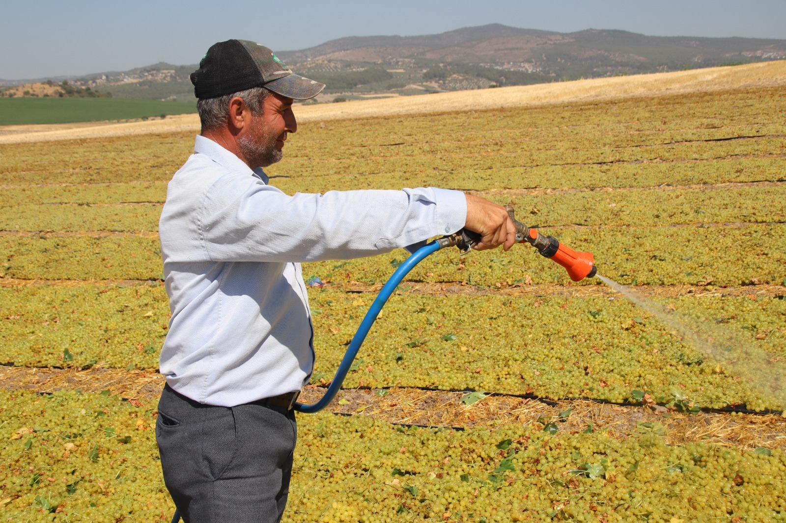 Whatsapp Image 2025 07 30 At 13.29.04