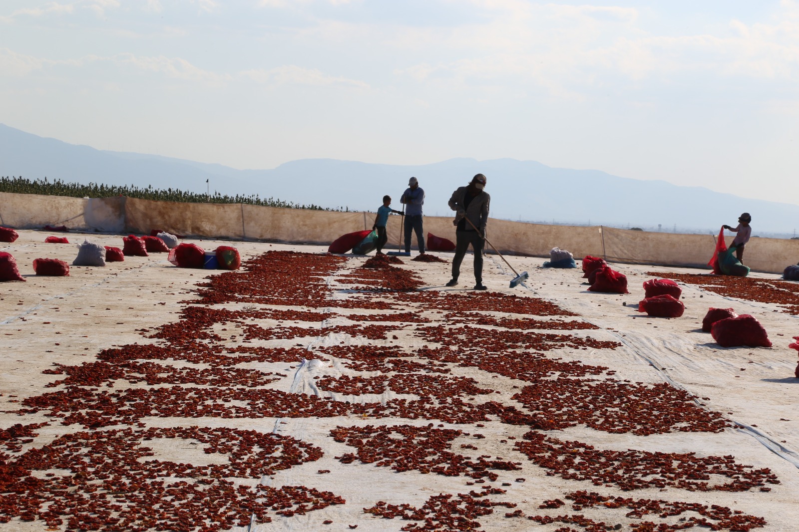 Whatsapp Image 2025 08 27 At 15.56.11 (1)