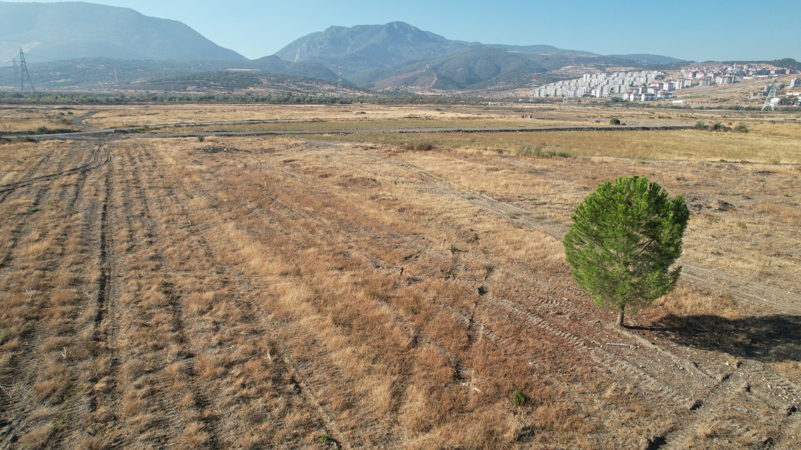 Whatsapp Image 2025 10 01 At 10.30.21