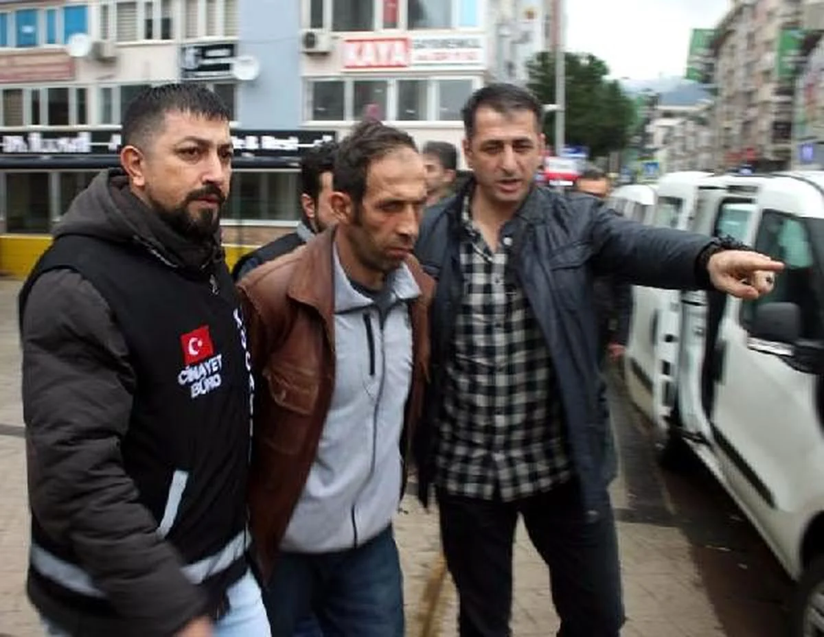 Palu Ailesi Davasinda Gerekceli Kararda Ceset 3 12999461 Amp